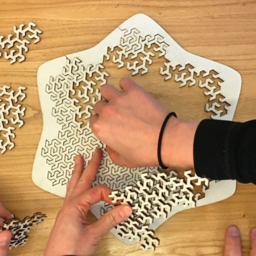 Wooden tessellation puzzle Wooden tessellation puzzle
