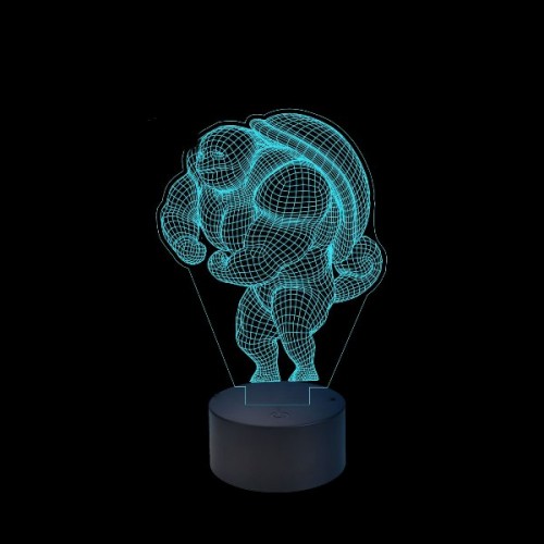 Plexiglas led Pokemon Plexiglas led Pokemon